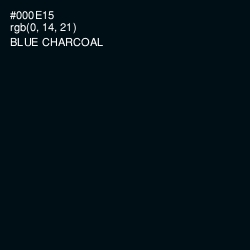 #000E15 - Blue Charcoal Color Image
